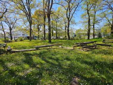 Parc de Beaudesert  banc et table de pique nique.